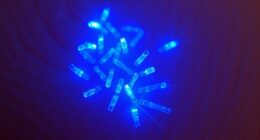 blue light kills p acnes