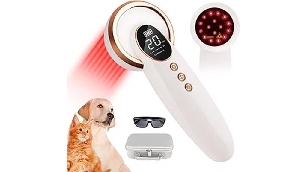dog cold laser therapy