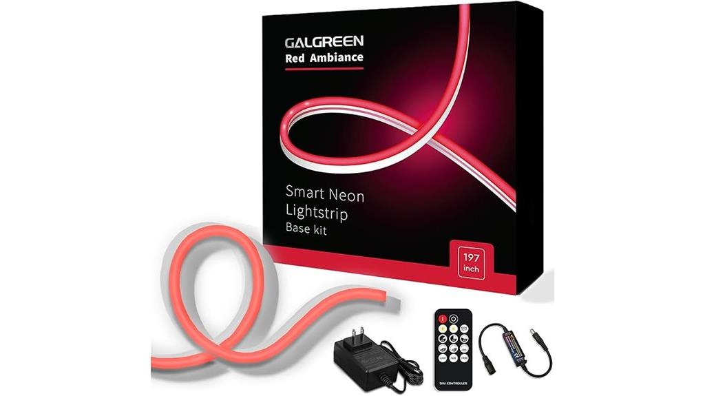 neon rope lights set