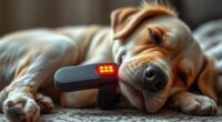 red light pet recovery devices