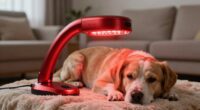 top pet red light devices