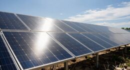 high irradiance panels limitations