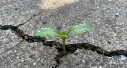 small changes big impact